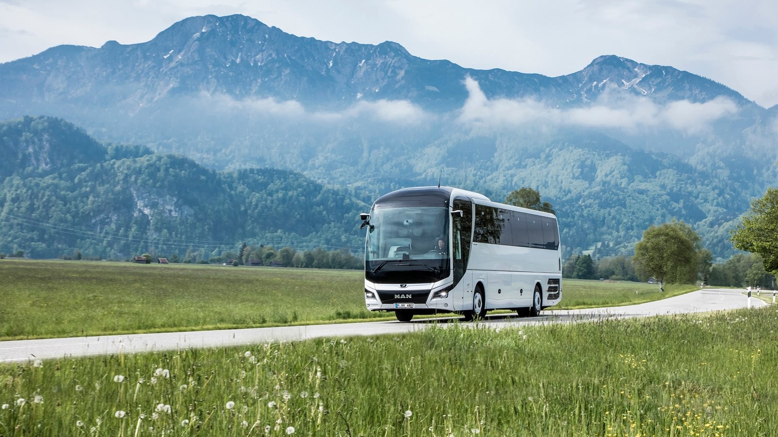 Buses